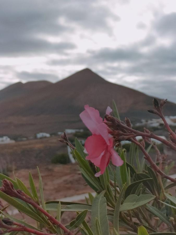 La Morreta Suites I - Lanzarote Conil Extérieur photo